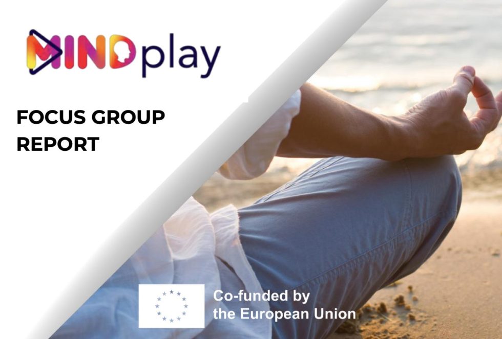 Results of the research within the MindPlay project